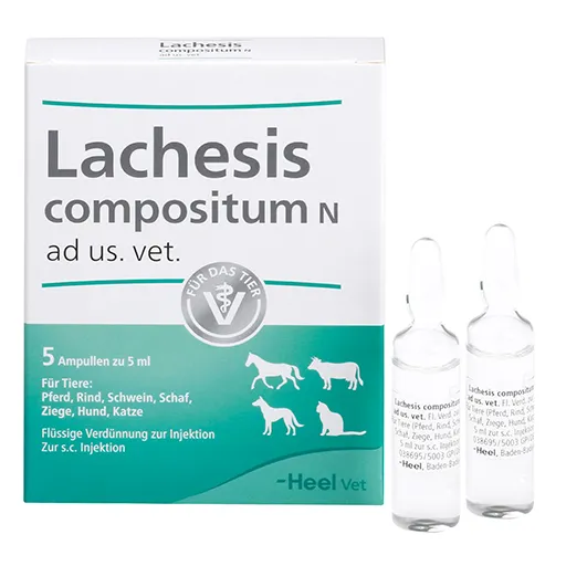 LACHESIS COMPOSITUM N ad us.vet.Ampullen 5 St