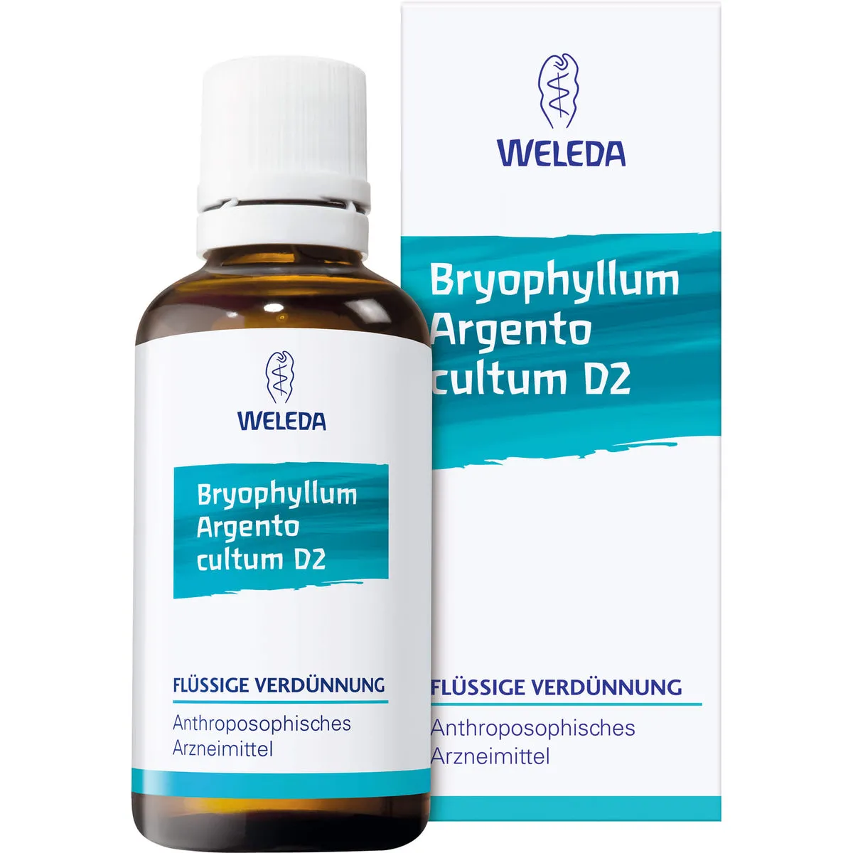 WELEDA Bryophyllum Argento cultum Rh D3 flüssige Verdünnung, 20 ml Lösung