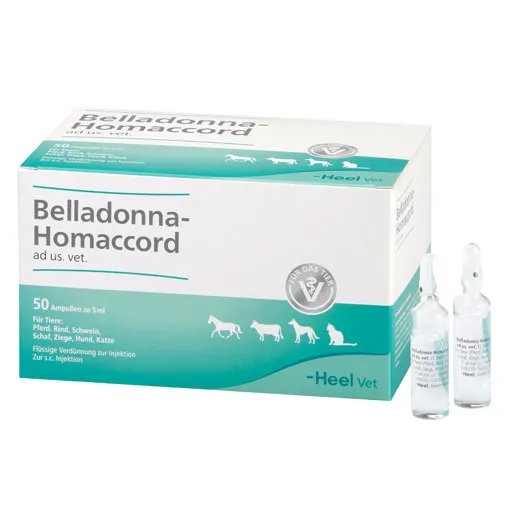 BELLADONNA HOMACCORD ad us.vet.Ampullen 50 St