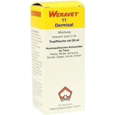 DERMISAL 11 Tropfen vet. 50 ml