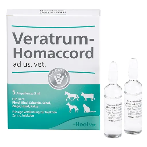 VERATRUM HOMACCORD ad us.vet.Ampullen 5 St