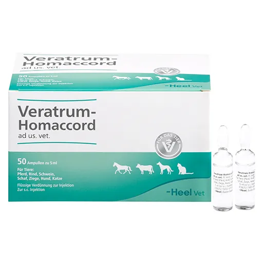 VERATRUM HOMACCORD ad us.vet.Ampullen 50 St