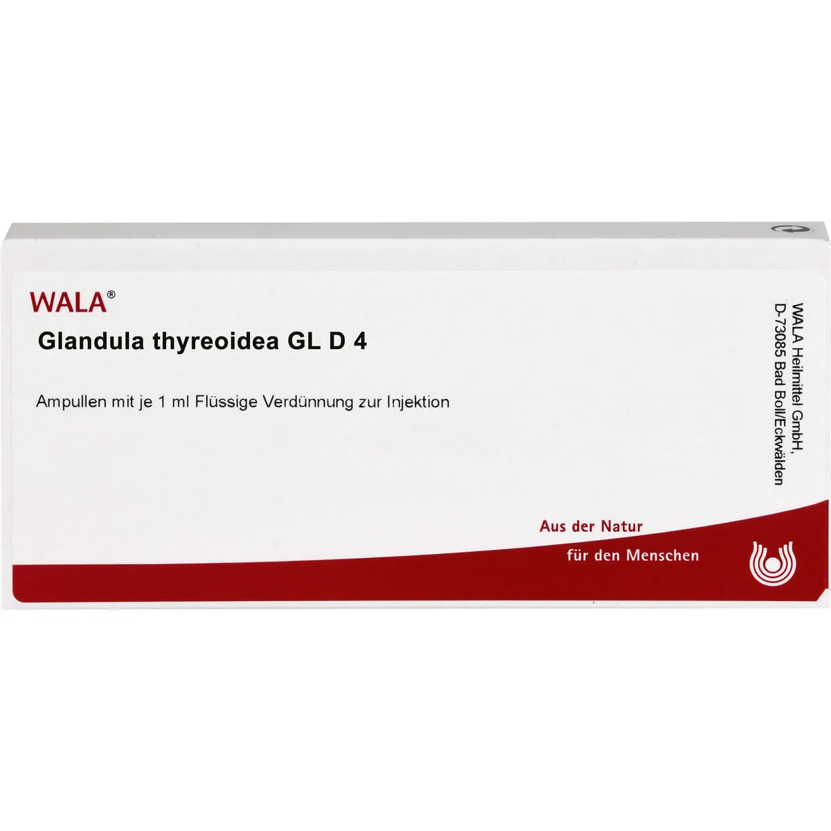 Glandula thyreoidea Gl D4 WALA Ampullen, 10 St. Ampullen