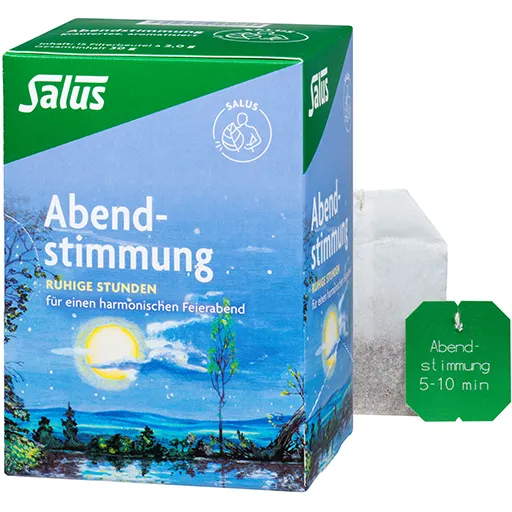ABENDSTIMMUNG Kräutertee Salus Filterbeutel 15 St