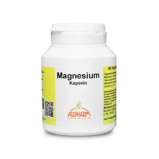 MAGNESIUM KAPSELN 90 St