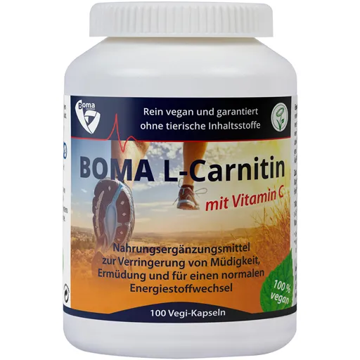 L-CARNITIN 500 Kapseln 100 St