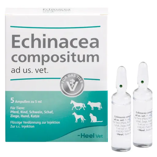 ECHINACEA COMPOSITUM ad us.vet.Ampullen 5 St
