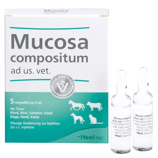 MUCOSA compositum ad us.vet.Ampullen 5X5 ml