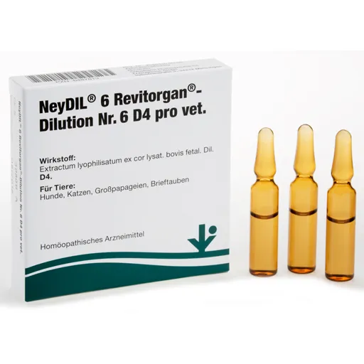 NEYDIL Nr.6 Revitorgan Dil.D 4 pro Ampullen vet. 5X2 ml