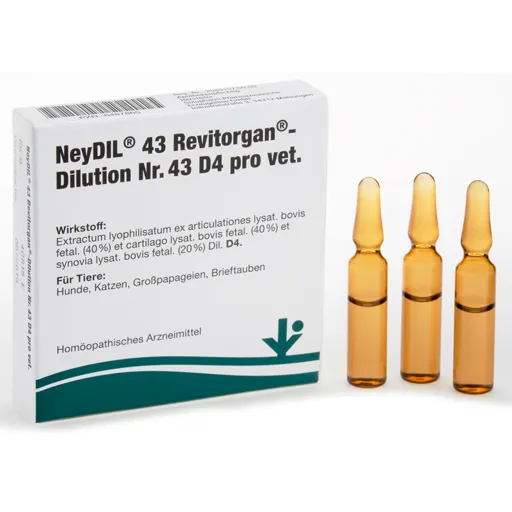 NEYDIL Nr.43 Revitorgan Dil.D 4 pro Ampullen vet. 5X2 ml
