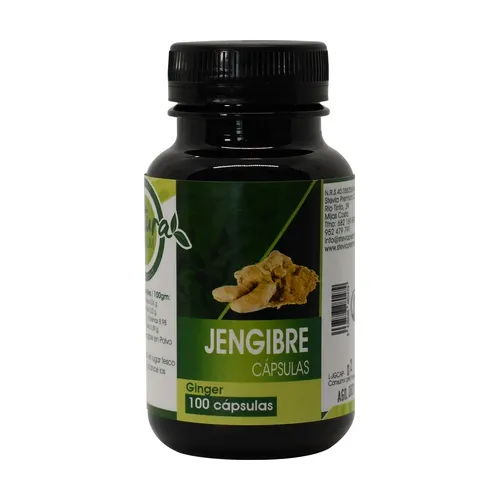 Stevia Premium Ingwer-Kapseln