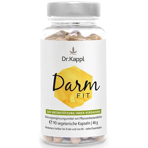 DARMFIT Kapseln 90 St