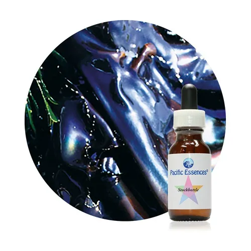 Pacific Essences Regenbogen Seetang