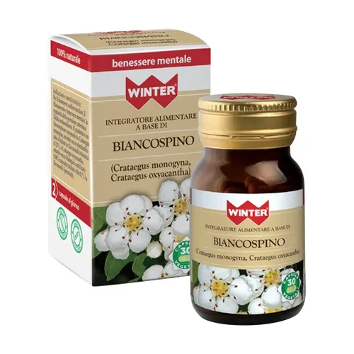 Winter Natura Weißer Weißdorn