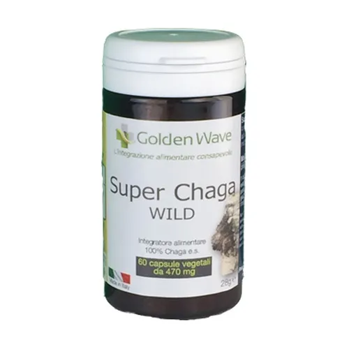 Golden Wave Super Chaga wild