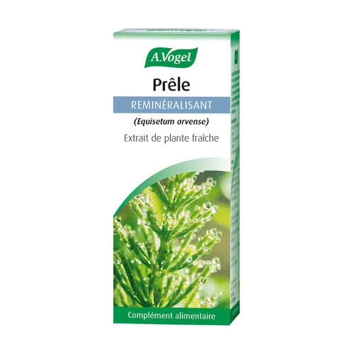 A.Vogel Pferdeschwanz