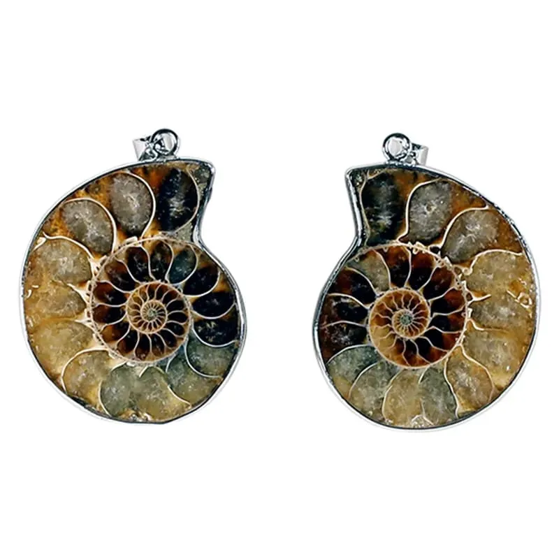 Anhänger Ammonit
