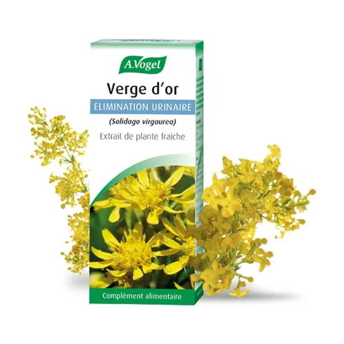 A.Vogel Goldener Stab