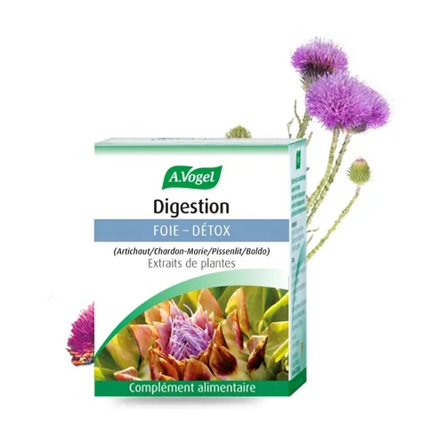 A.Vogel Boldocynara 60 Tabletten