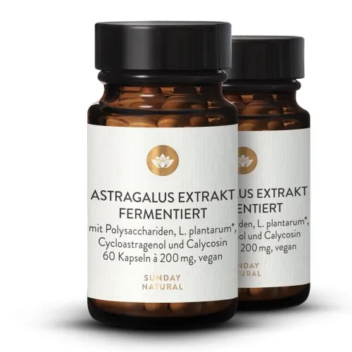 Astragalus Extrakt Fermentiert 7597-bundle