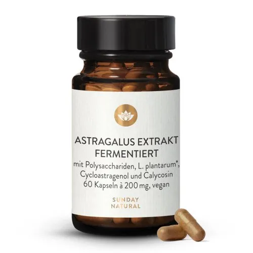 Astragalus Extrakt Fermentiert 7597