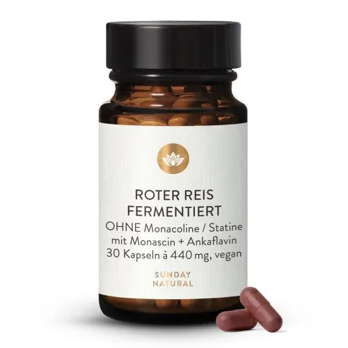 Roter Reis fermentiert ohne Monacoline 7601