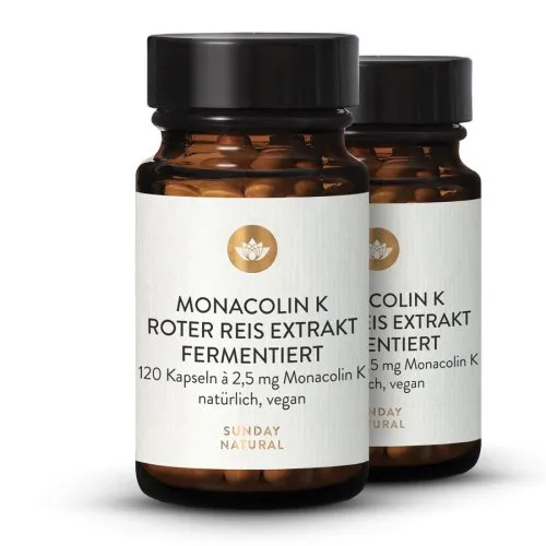 Monacolin K Roter Reis Extrakt 7603-bundle