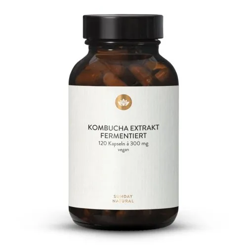 Kombucha Extrakt 7604