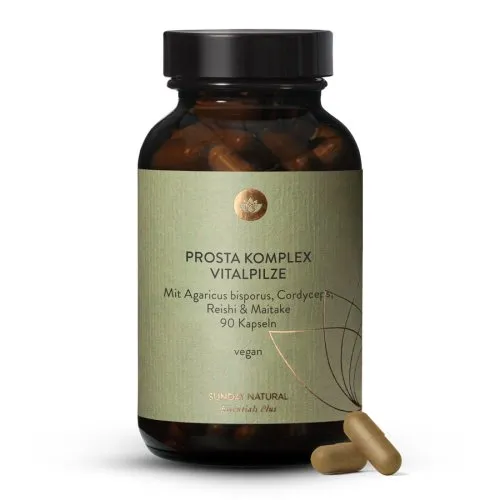 Prosta komplex Vitalpilze 8111