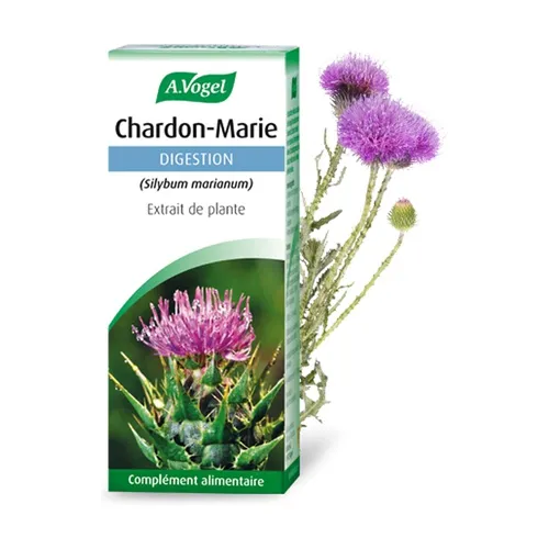 A.Vogel Chardon Marie Verdauung