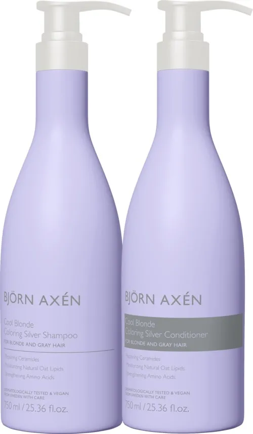 Björn Axen Cool Blonde Coloring Silver