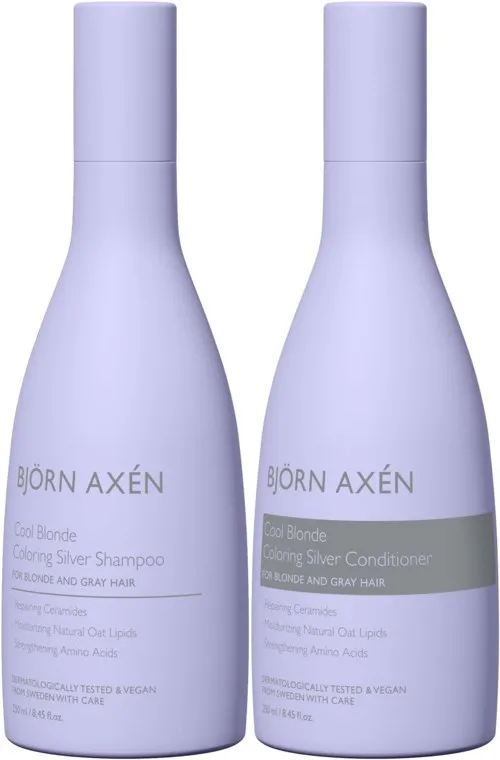 Björn Axen Cool Blonde Coloring Silver Standard