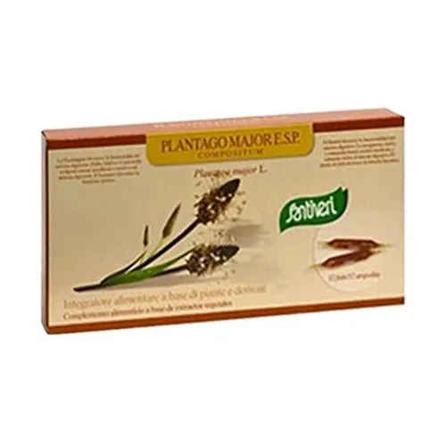 Santiveri Plantago major