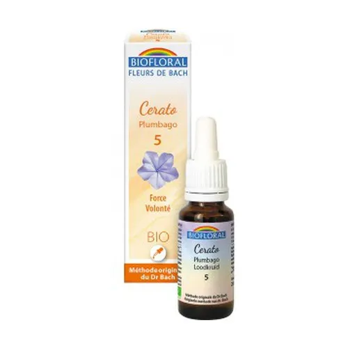 Biofloral Bio Plumbago