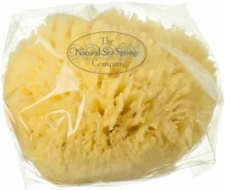 Hydréa London Grass Sea Sponge Caribbean