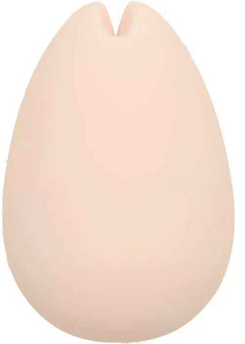 iroha SAKURA NEW Vibrator