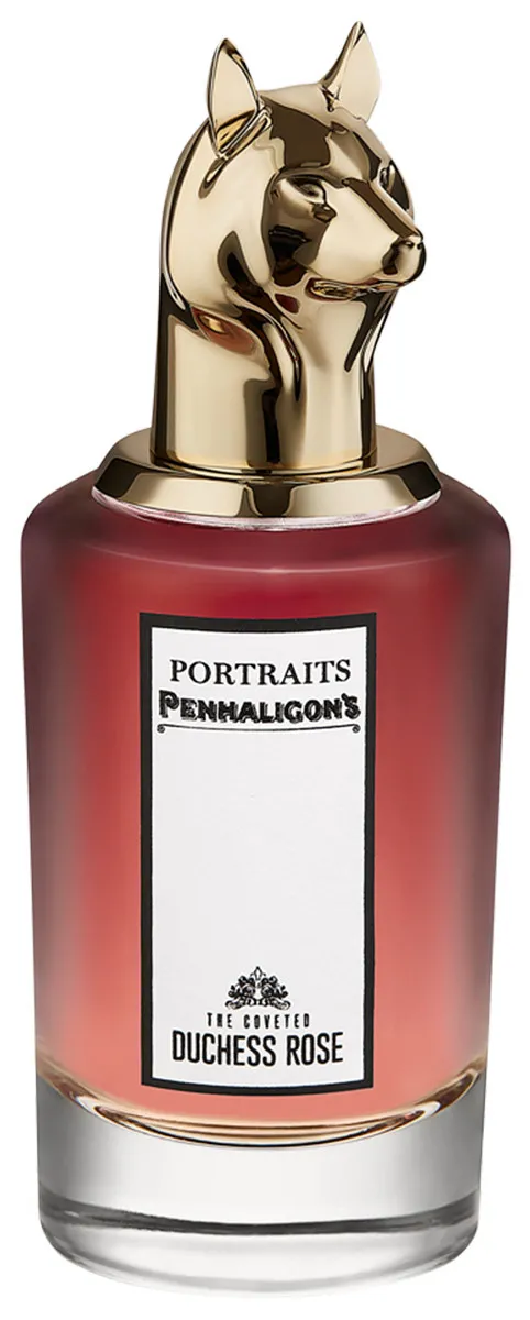 The Coveted Duchess Rose