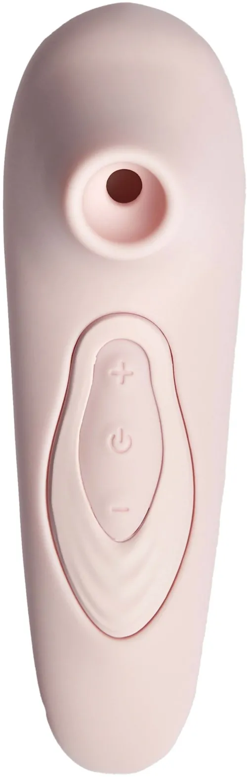 Pink Nectarin Sunflower